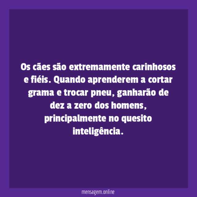 Os cães são extremamente carinhosos e fiéis