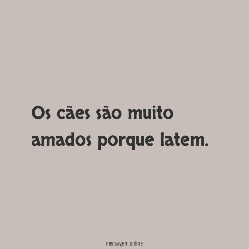 Os cães são muito amados porque latem