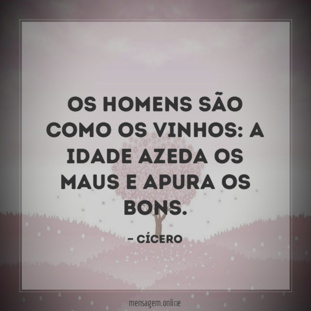 Os homens são como os vinhos