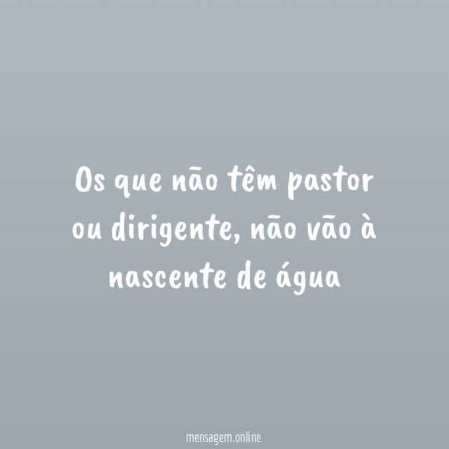Os que não têm pastor ou dirigente