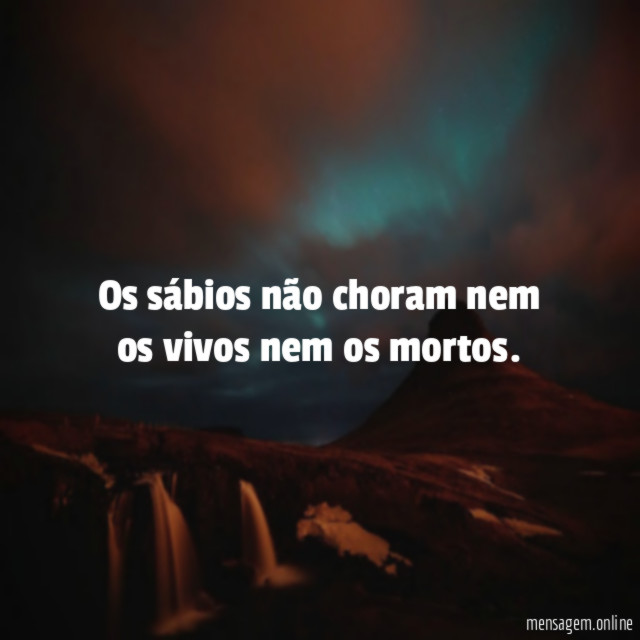 Os sábios não choram nem os vivos nem os mortos