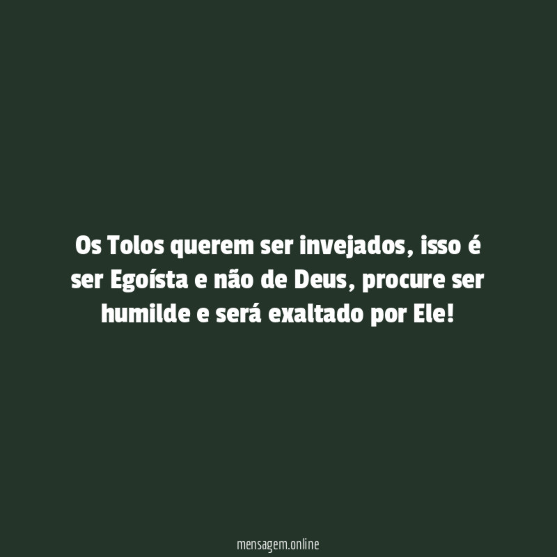 Os Tolos querem ser invejados