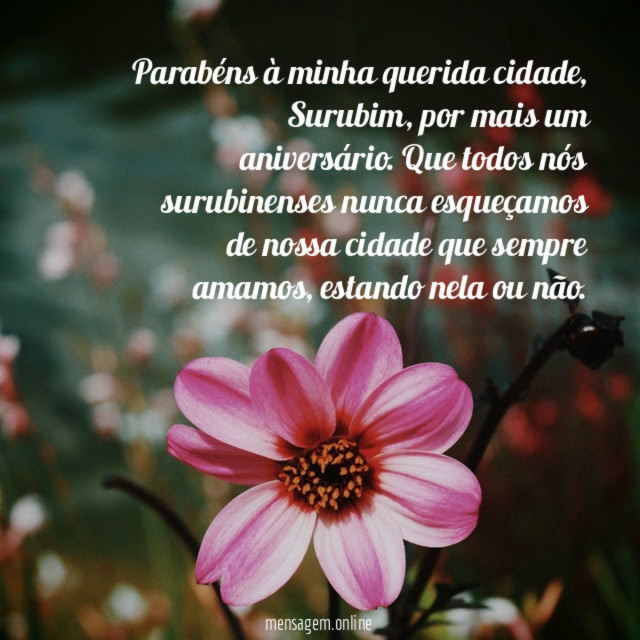 Parabéns à minha querida cidade