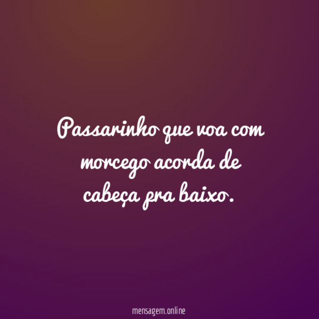 Passarinho que voa com morcego acorda de cabeça pra baixo