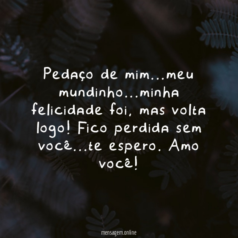 Pedaço de mim