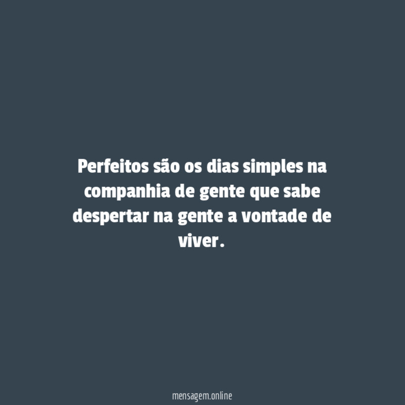 Perfeitos são os dias simples na companhia de