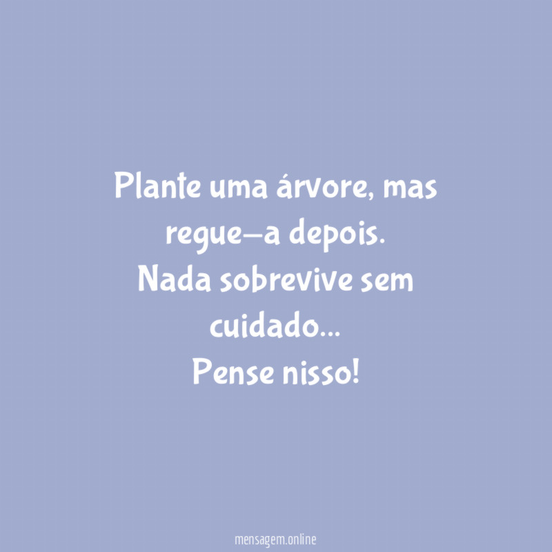 Plante uma árvore