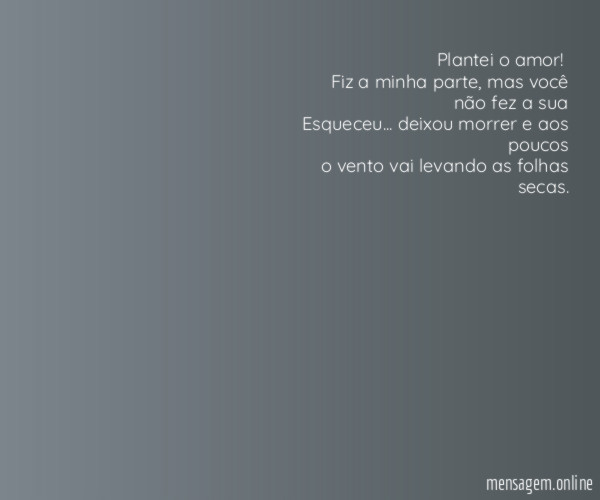 Plantei o amor