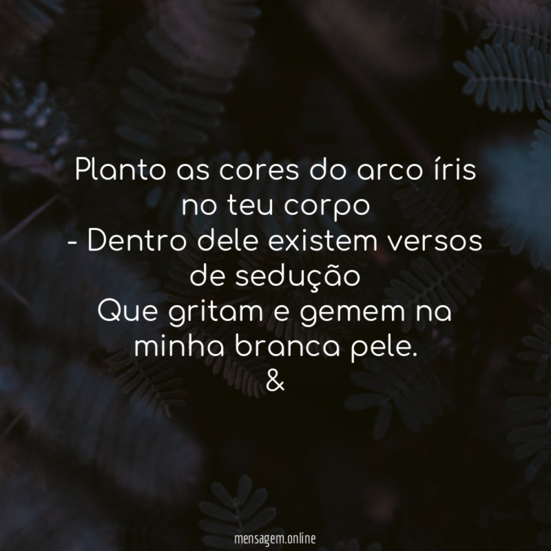 Planto as cores do arco íris no teu