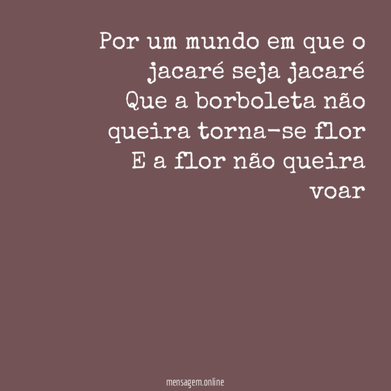 Por um mundo em que o jacaré seja