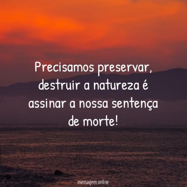 Precisamos preservar