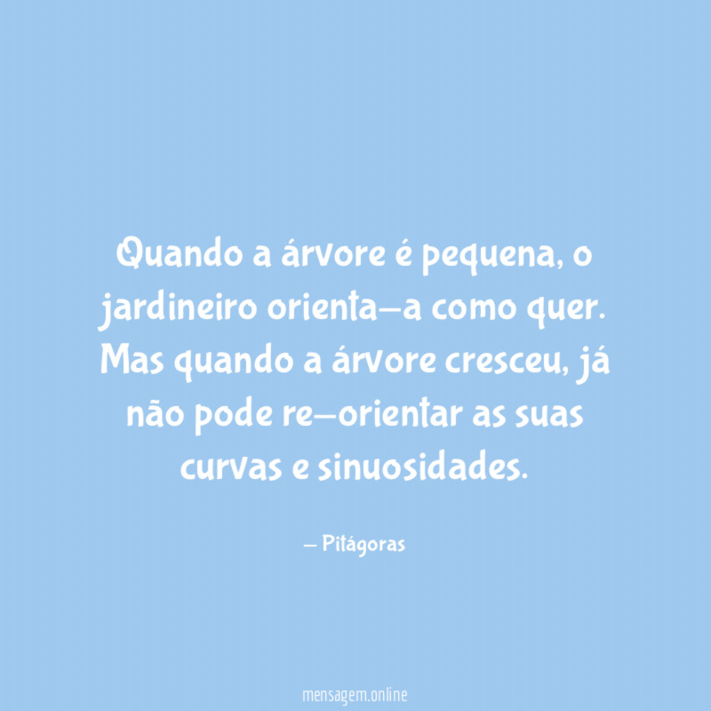 Quando a árvore é pequena