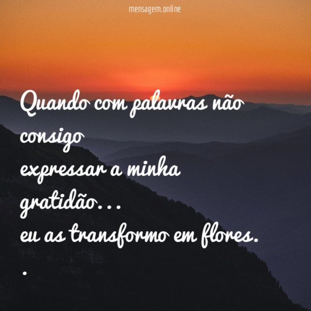 Quando com palavras não consigo
expressar a minha gratidão …
eu as transformo em flores.