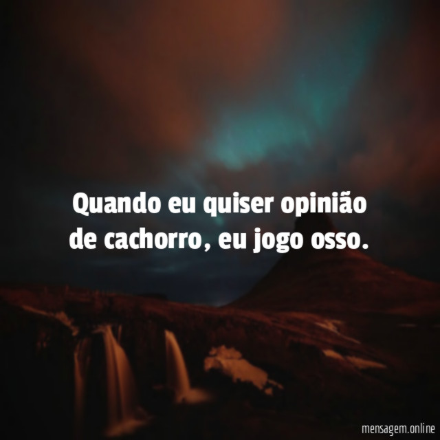 Quando eu quiser opinião de cachorro