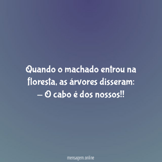 Quando o machado entrou na floresta