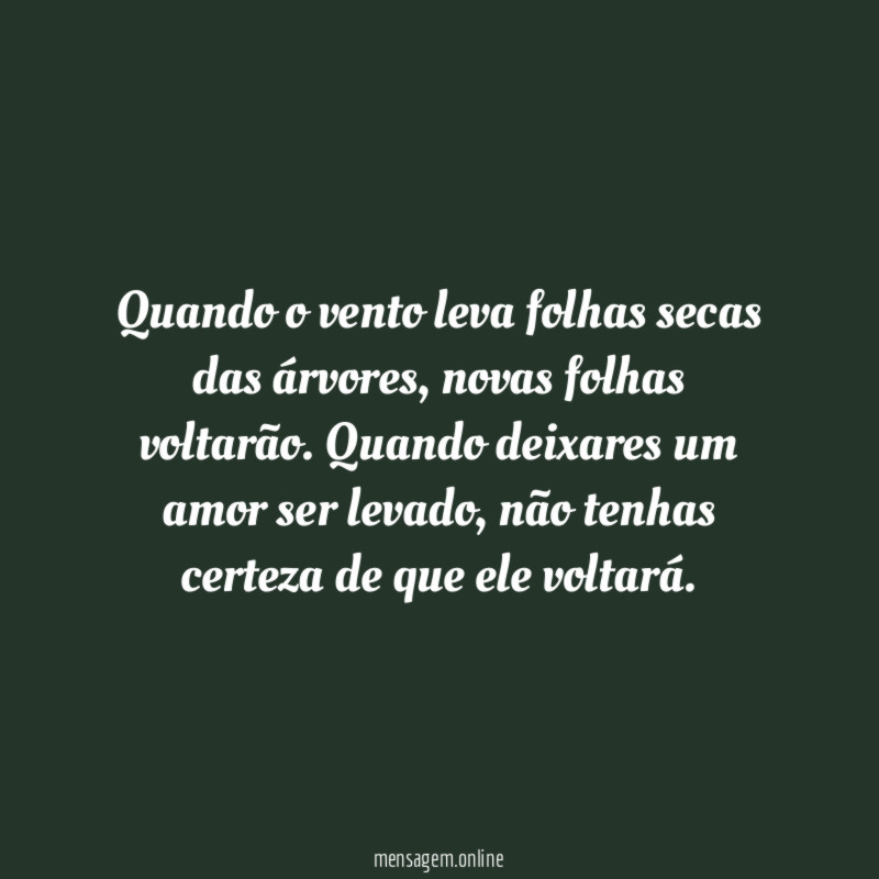 Quando o vento leva folhas secas das árvores