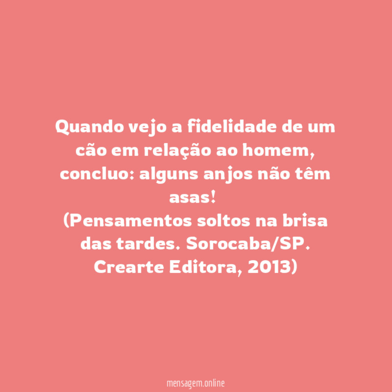 Quando vejo a fidelidade de um cão em