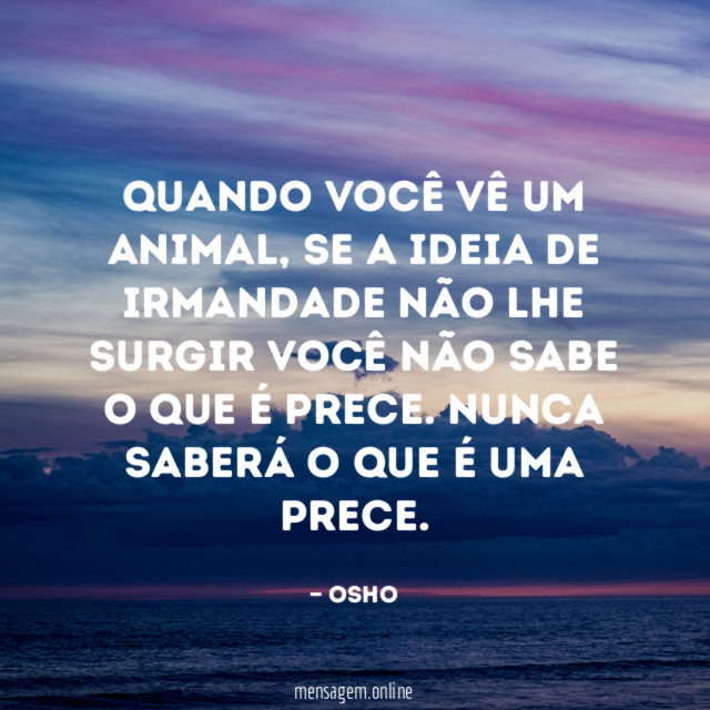 Quando você vê um animal