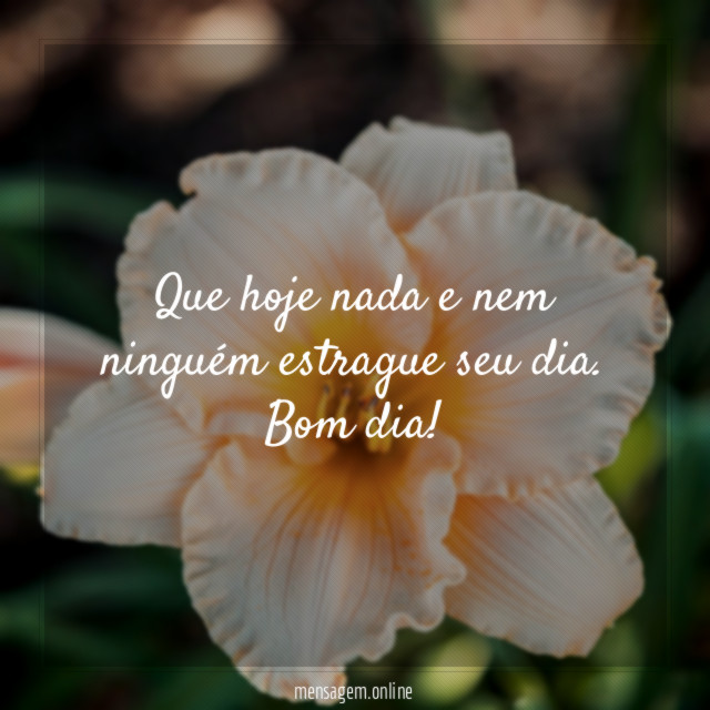 Que hoje nada e nem ninguém estrague seu dia