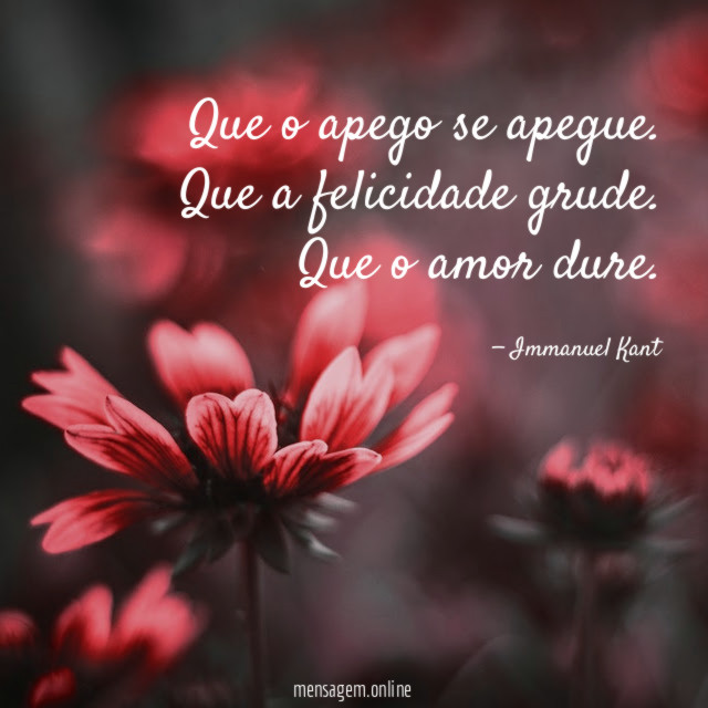 Que o apego se apegue