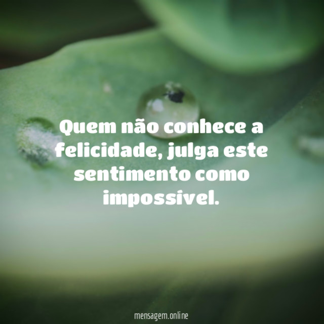 Quem não conhece a felicidade