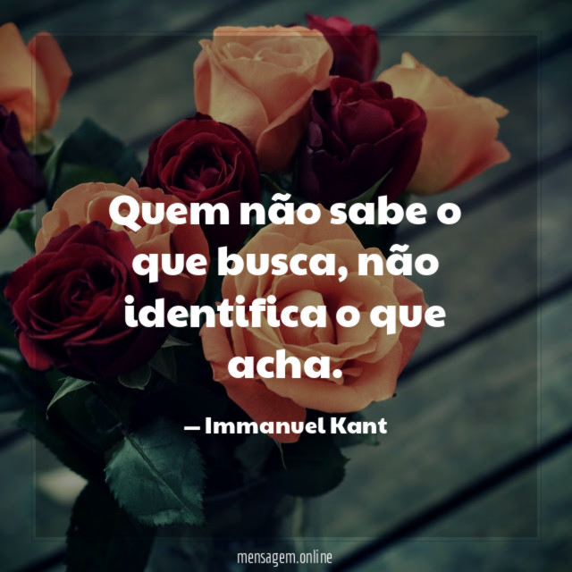 Quem não sabe o que busca