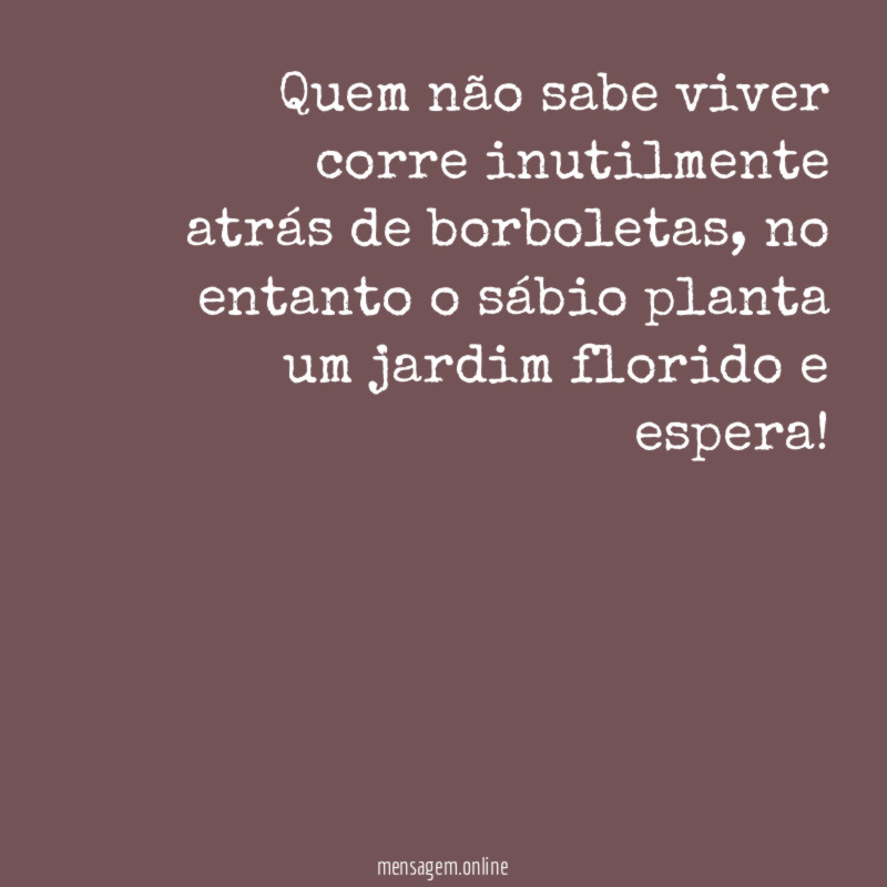 Quem não sabe viver corre inutilmente atrás de borboletas