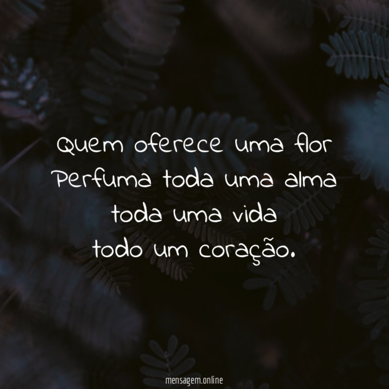 *Quem oferece uma flor Perfuma toda uma alma toda uma