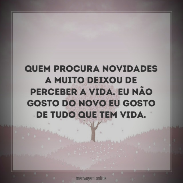 Quem procura novidades a muito deixou de perceber a vida
