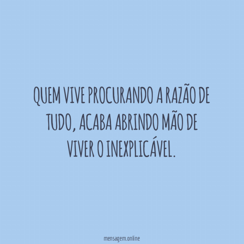 Quem vive procurando a razão de tudo