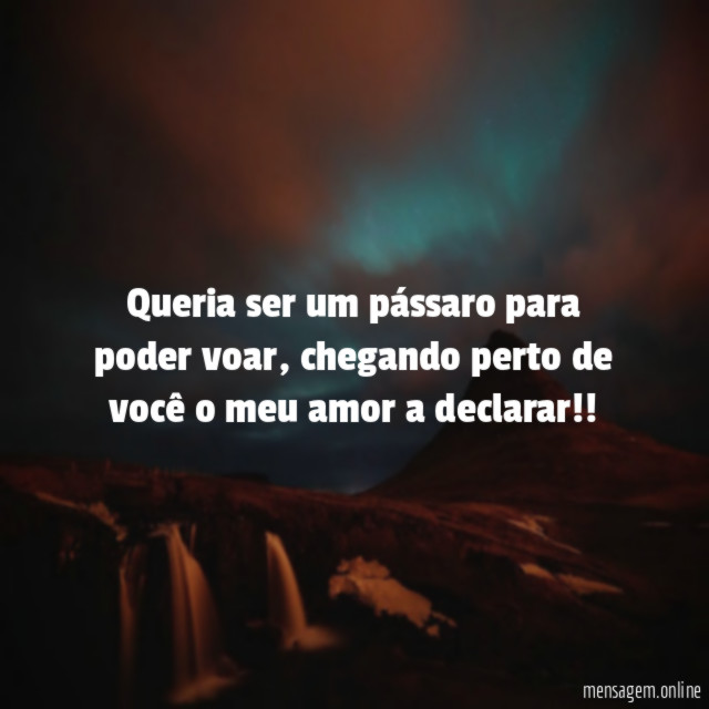 Queria ser um pássaro para poder voar