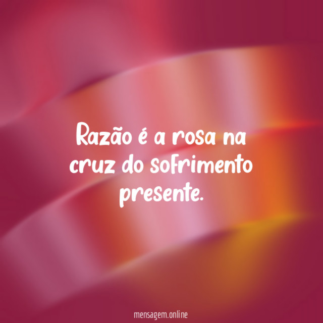 Razão é a rosa na cruz do sofrimento presente