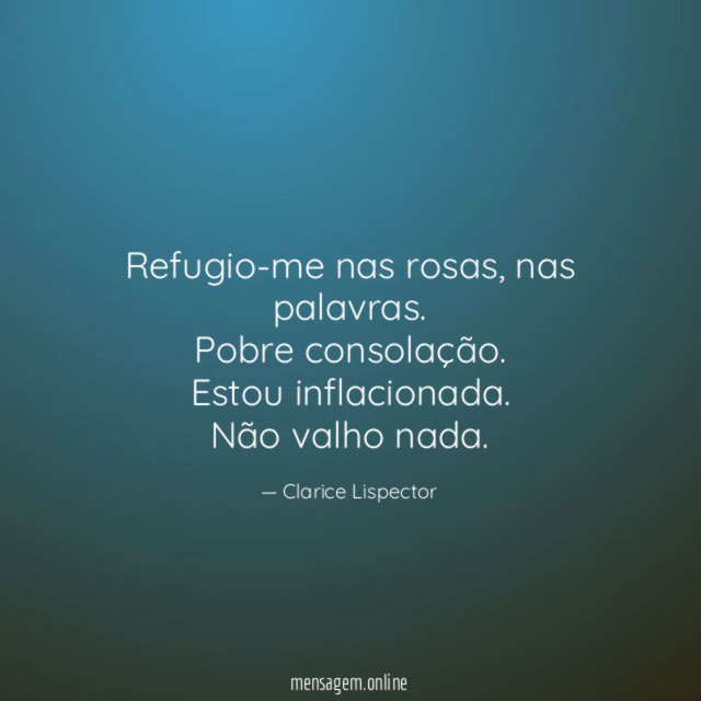 Refugio-me nas rosas