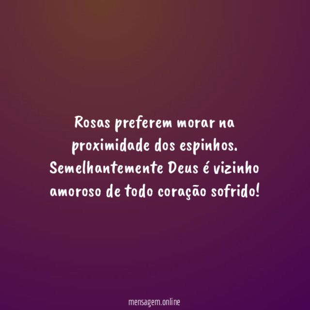 Rosas preferem morar na proximidade dos espinhos