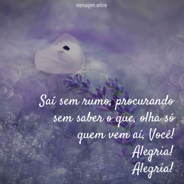 Saí sem rumo
