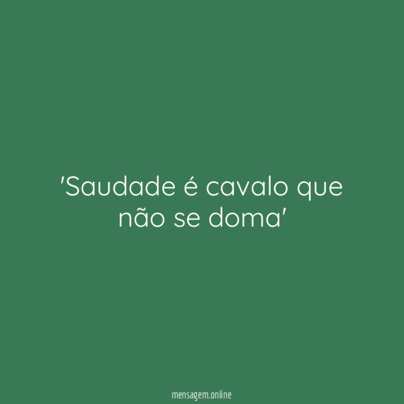 Saudade é cavalo que não se doma'