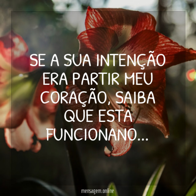 SE A SUA INTENÇÃO ERA PARTIR MEU CORAÇÃO