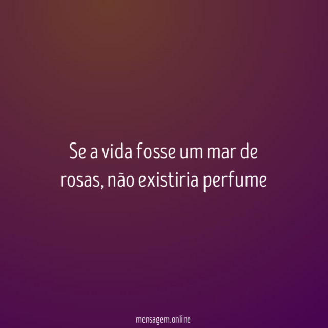 Se a vida fosse um mar de rosas