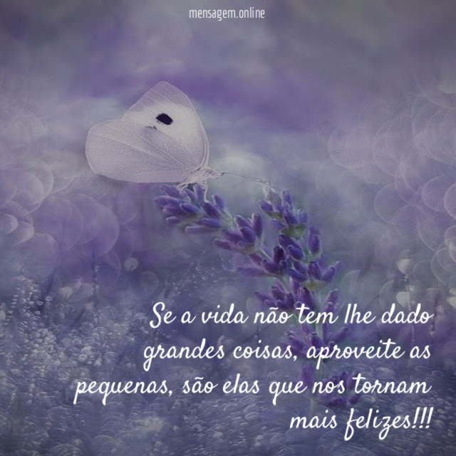 Se a vida não tem lhe dado grandes coisas