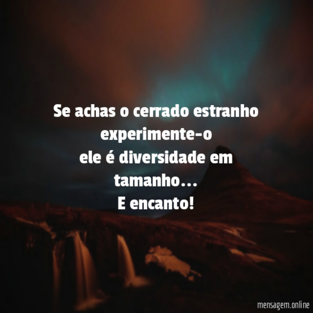 Se achas o cerrado estranho experimente-o ele é diversidade em tamanho