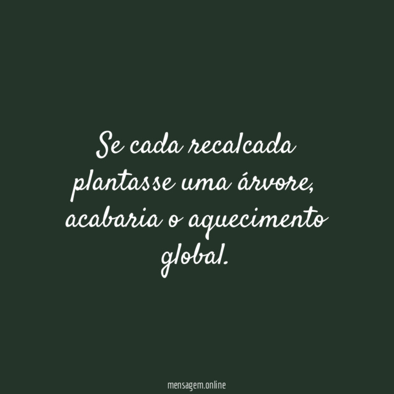 Se cada recalcada plantasse uma árvore
