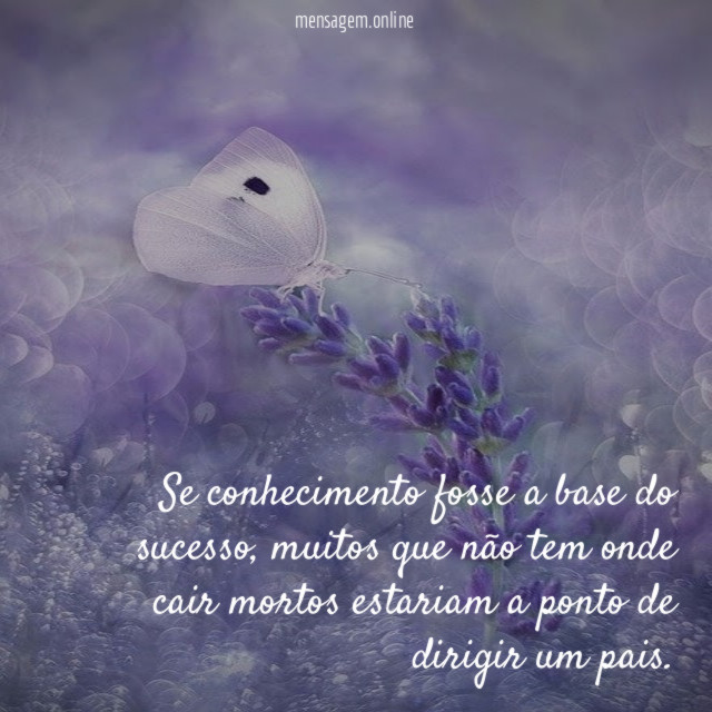 Se conhecimento fosse a base do sucesso