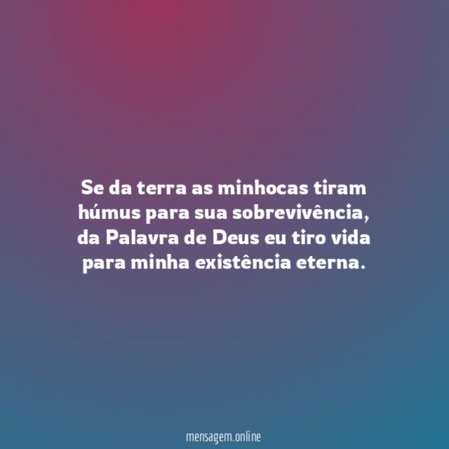 Se da terra as minhocas tiram húmus para sua sobrevivência