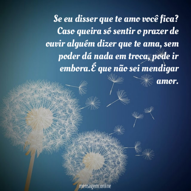 Se eu disser que te amo você fica