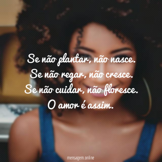 Se não plantar