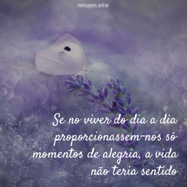 Se no viver do dia a dia proporcionassem-nos só momentos de alegria