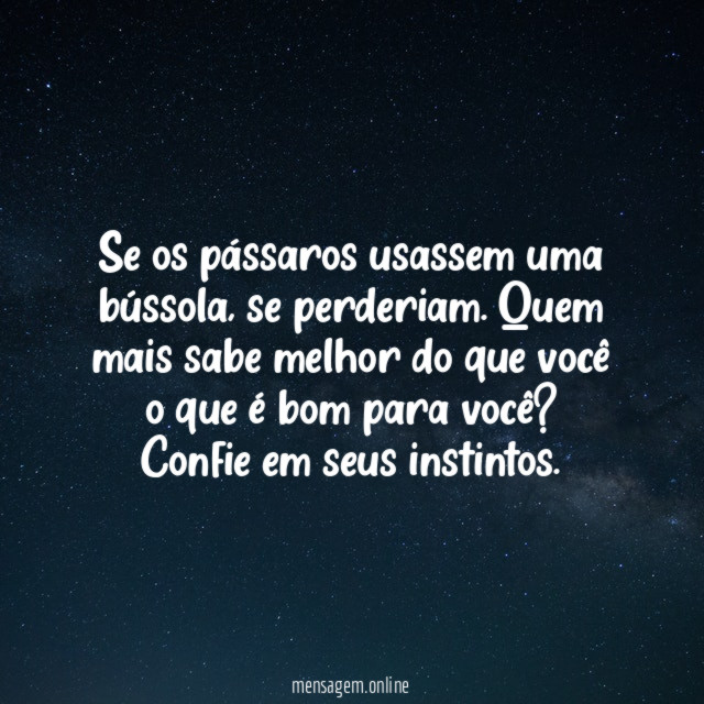 Se os pássaros usassem uma bússola