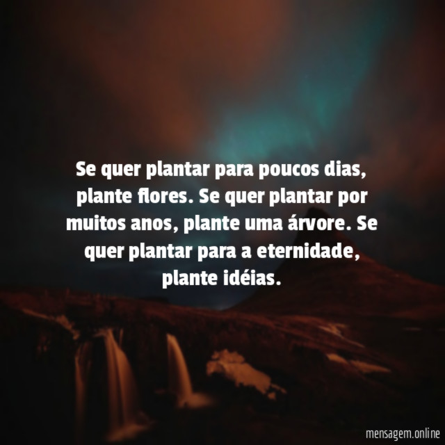 Se quer plantar para poucos dias