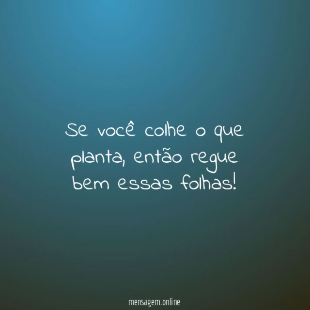 Se você colhe o que planta