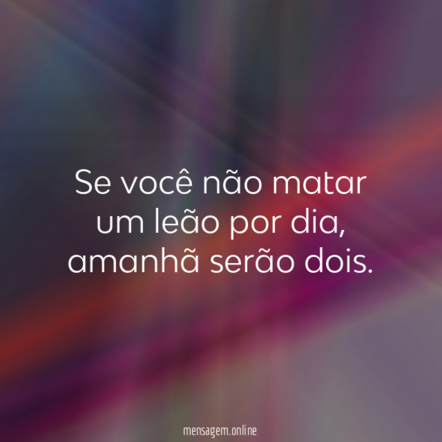 Se você não matar um leão por dia